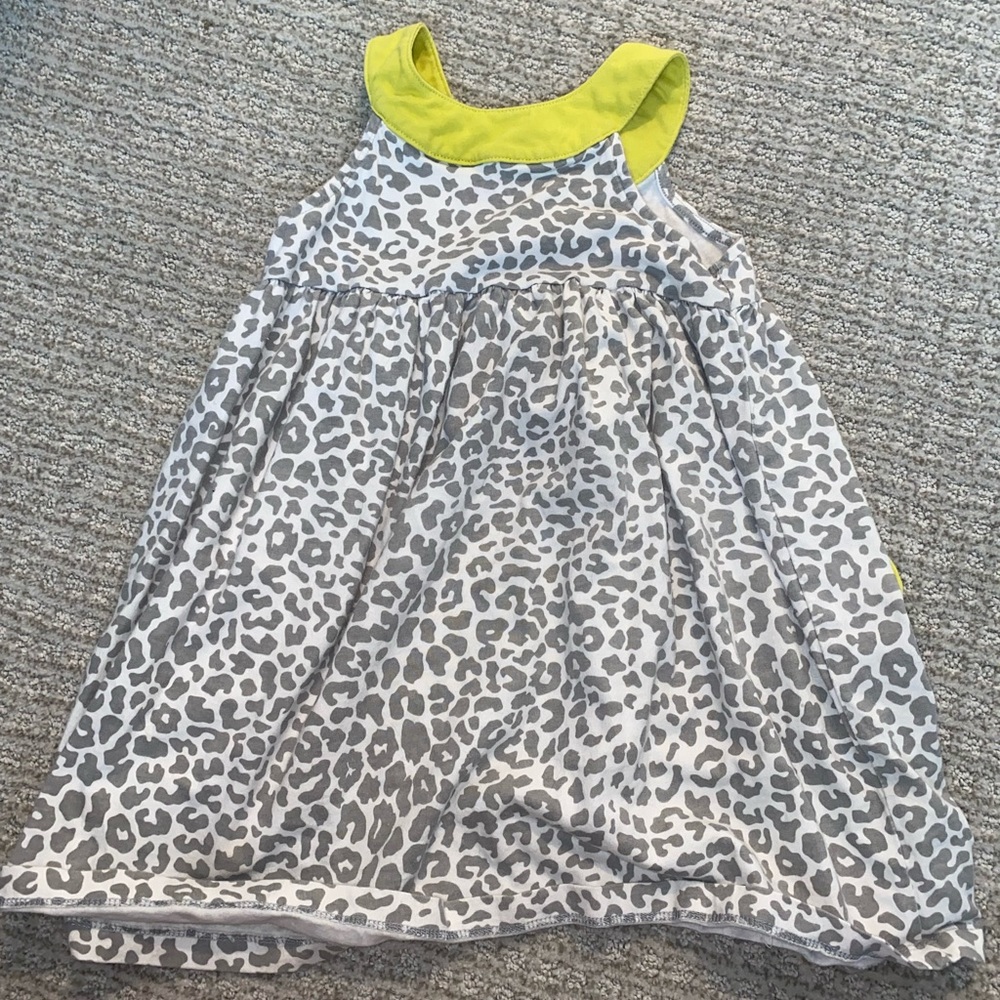 Carters 5T dress